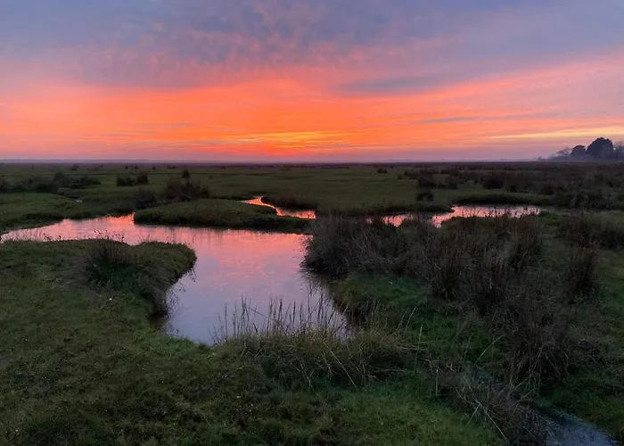 Des Mezieres * Saint-Germain-sur-Ay